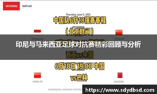 印尼与马来西亚足球对抗赛精彩回顾与分析